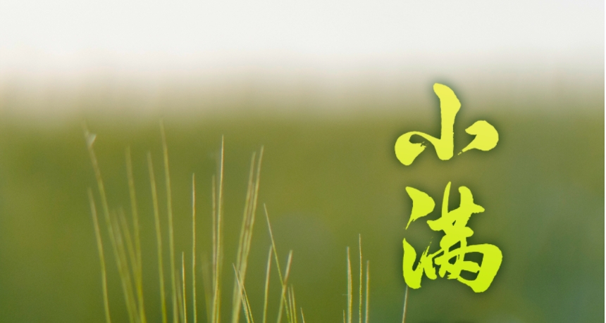 今日小滿(mǎn) | 萬(wàn)物豐茂，綠色滿(mǎn)『榮』  碩果待結(jié)，智慧盈『科』